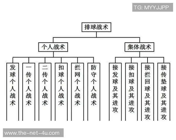 杭州排球队快攻战术深度解析与实战应用探讨