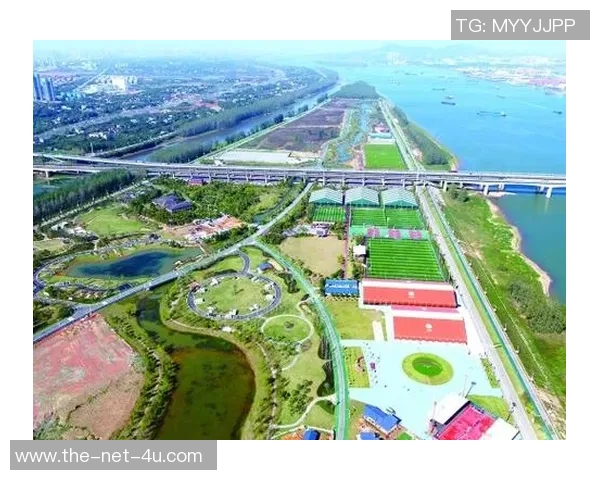 重庆网球队阵地战革新探索与实践的全景分析与未来展望