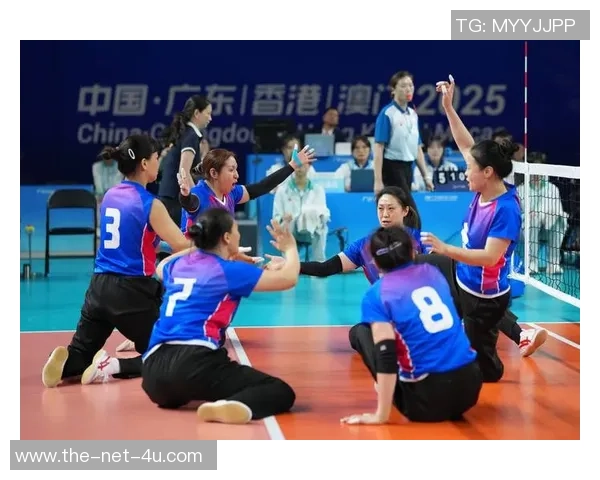 排球焦点：上海排球队的技术探讨