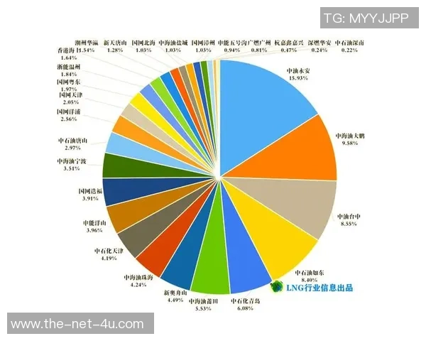 独家分析：LNG的意识对比_1
