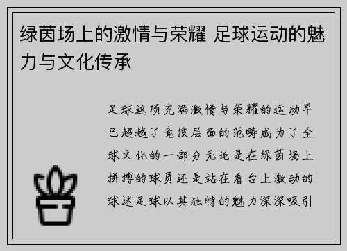 绿茵场上的激情与荣耀 足球运动的魅力与文化传承