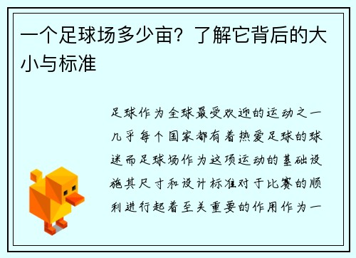 一个足球场多少亩？了解它背后的大小与标准