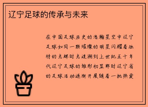 辽宁足球的传承与未来