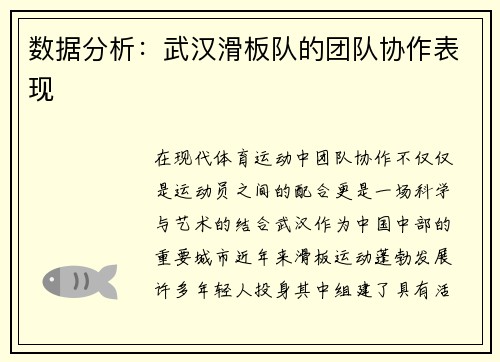 数据分析：武汉滑板队的团队协作表现