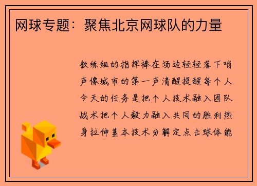 网球专题：聚焦北京网球队的力量